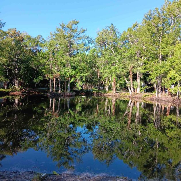 RV Park in Florida