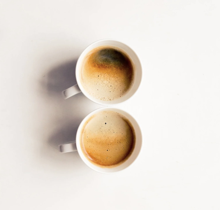 rv parks with free coffee in florida